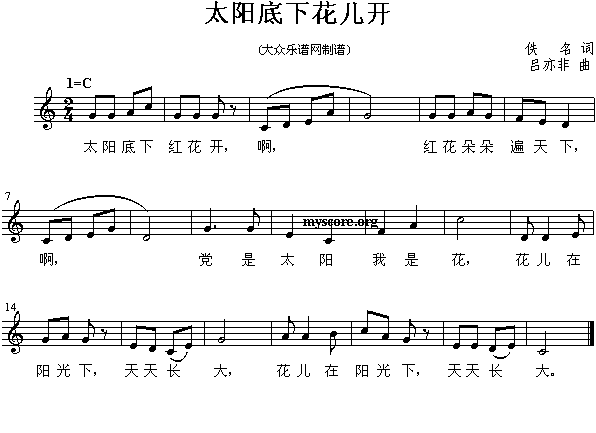 ̫ꖵ»_()1