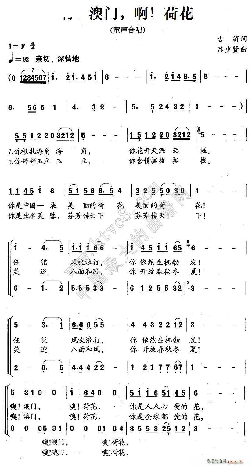  T  ɻ(ָV)1