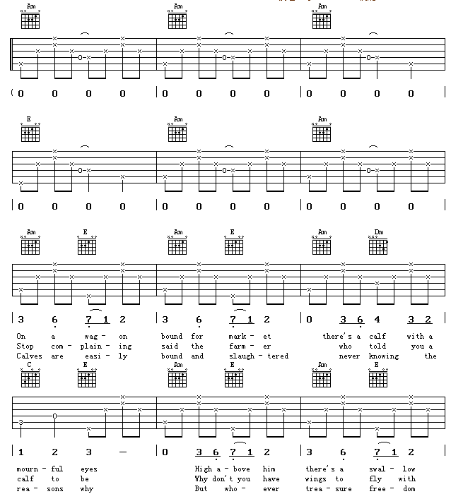 DonnaDonnaV-(V)1