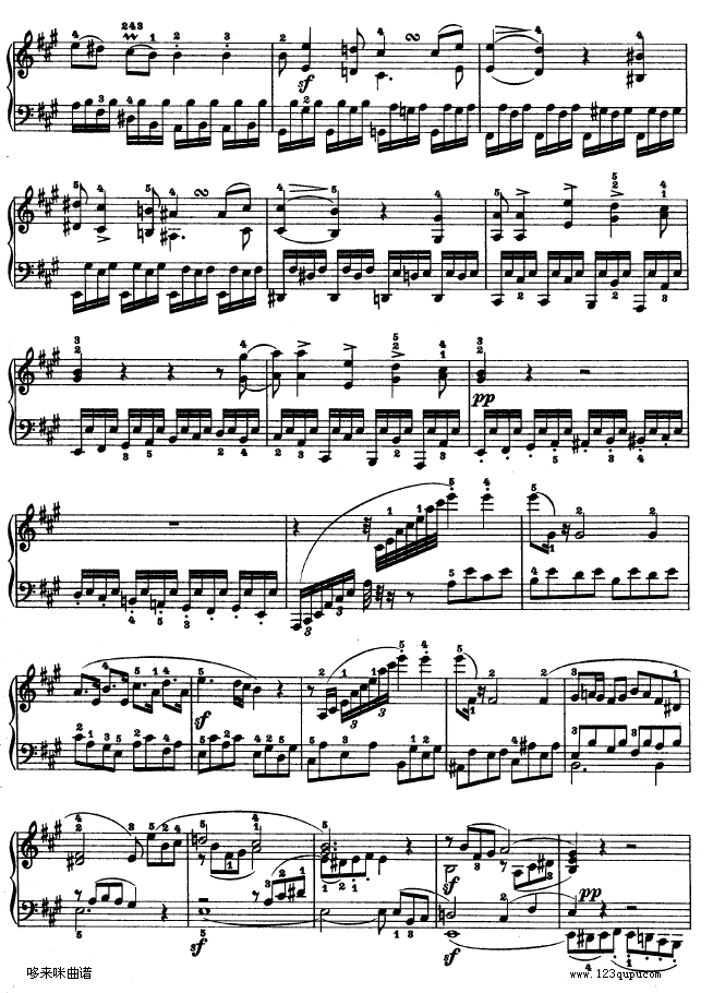 A{(dio)ڶQ-ؐ(V)16