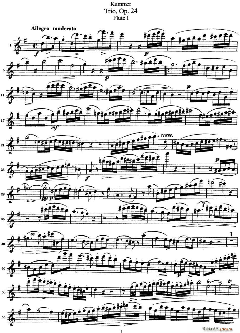 (k)ĬL(zhng)Op 24 Flute 1(ѺV)1