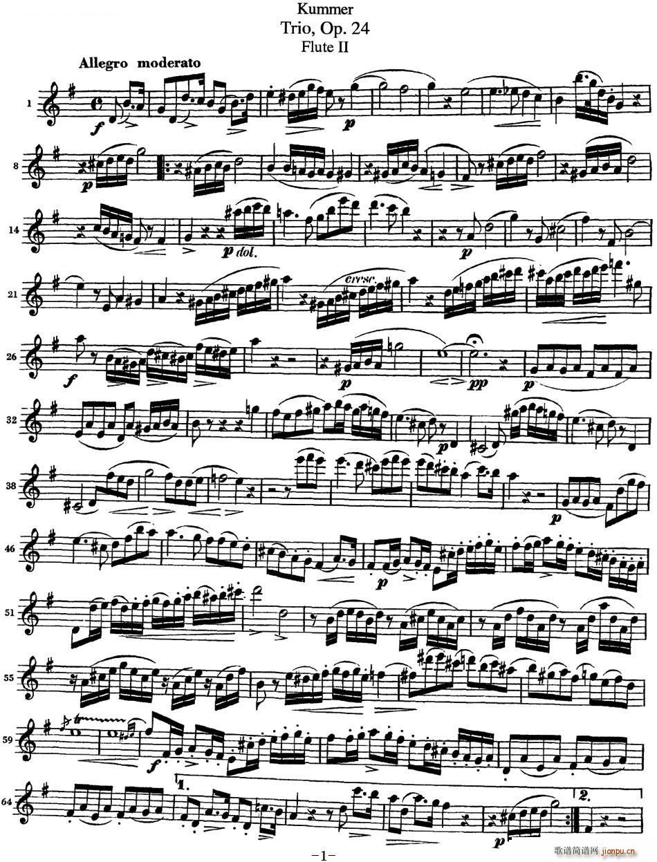 (k)ĬL(zhng)Op 24 Flute 2(ѺV)1