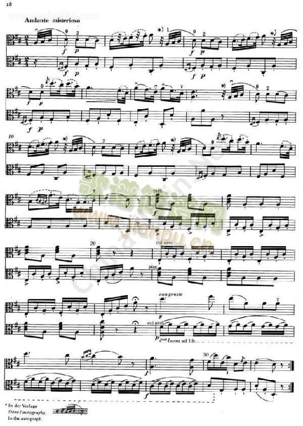 BRUNISonata(СV)5