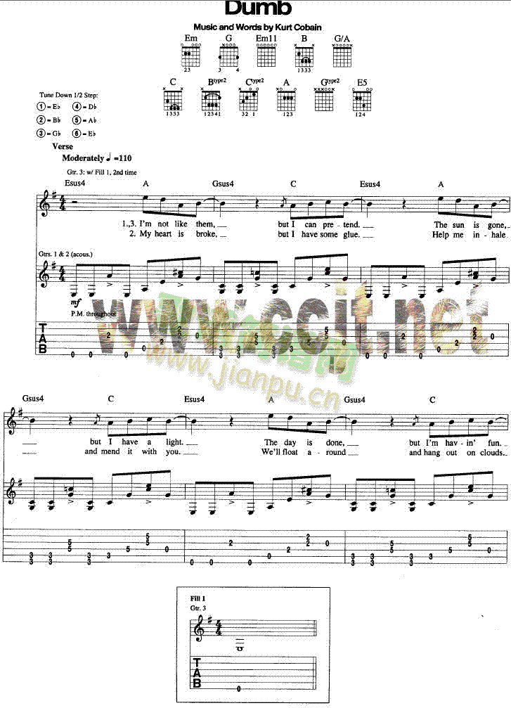 Dumb-Nirvana(V)1
