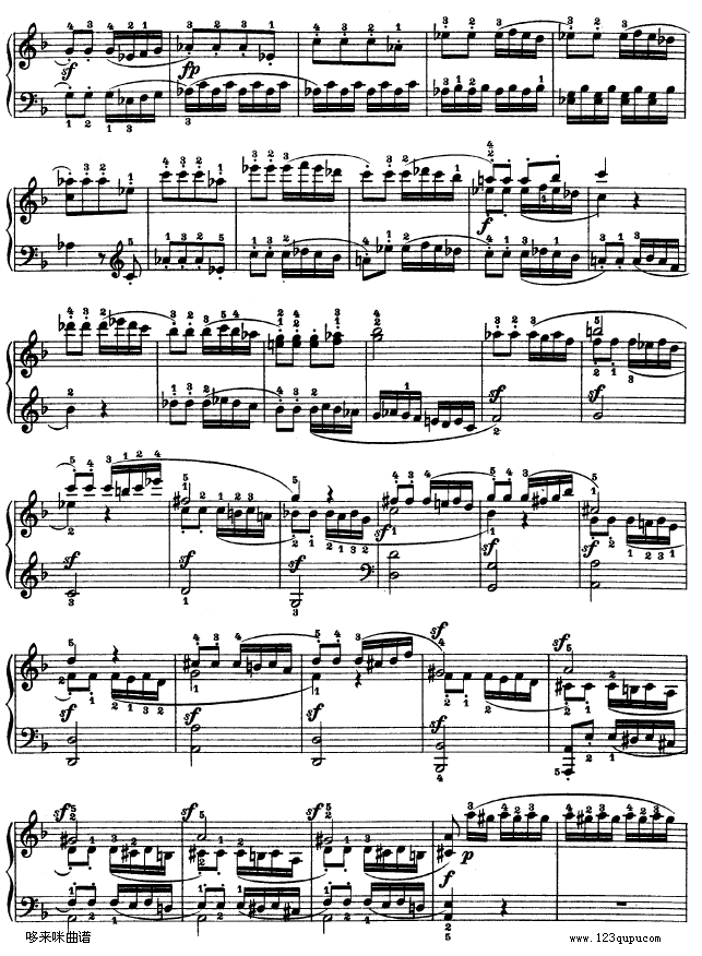 F{(dio)Q-Op.102-ؐ(V)12