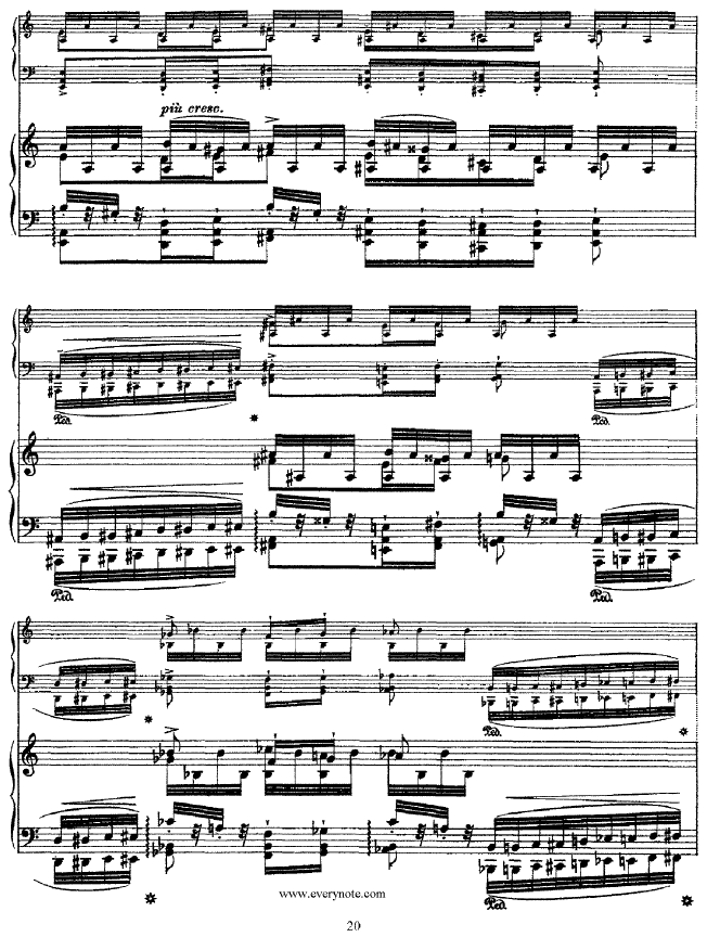 (V)20