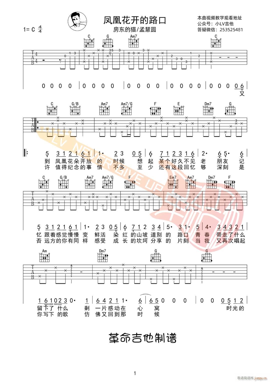 P˻_· ϻۈA C{(dio)(V)1