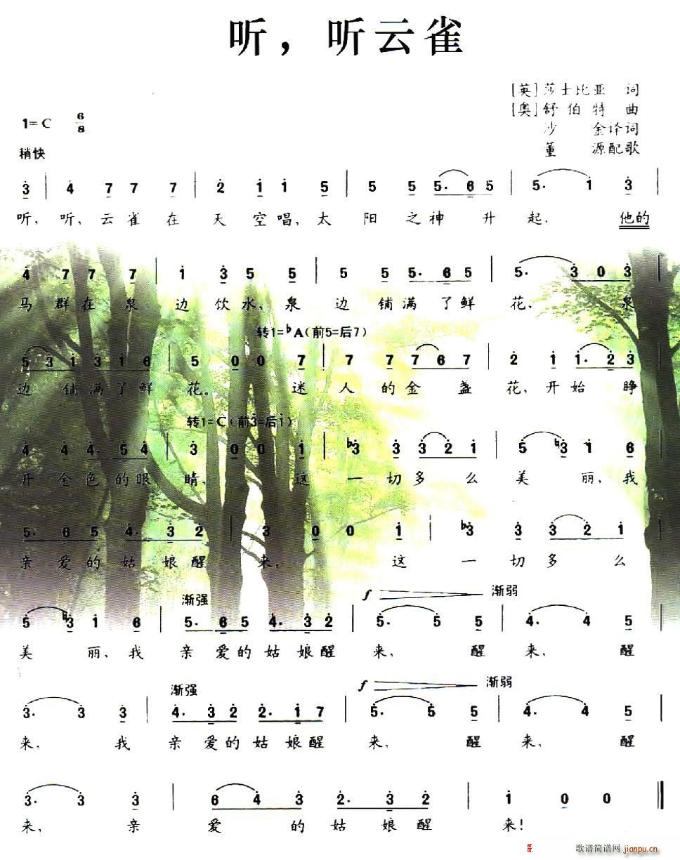    ȸ(ָV)1