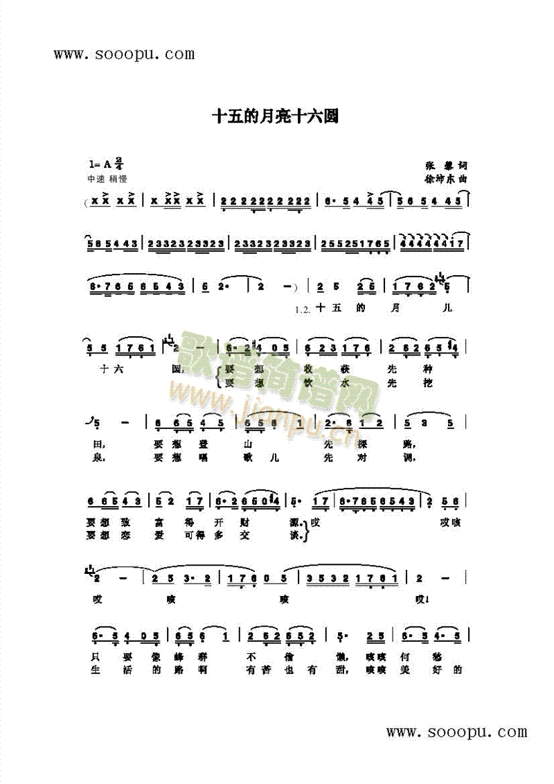 ʮʮA(jin)V(V)1