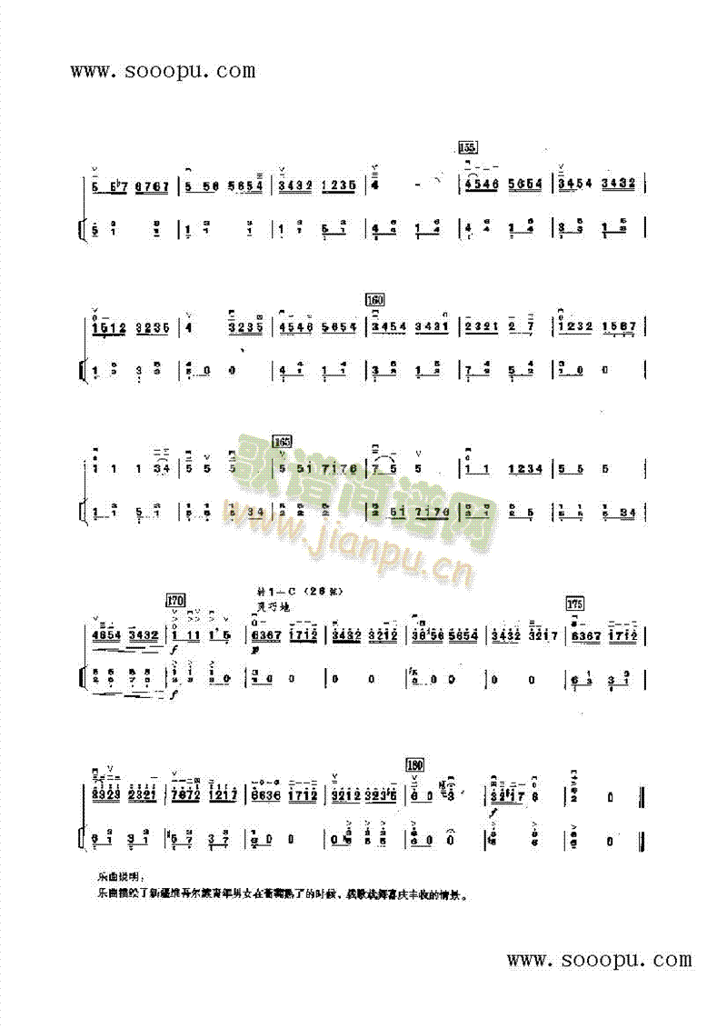 (V)11