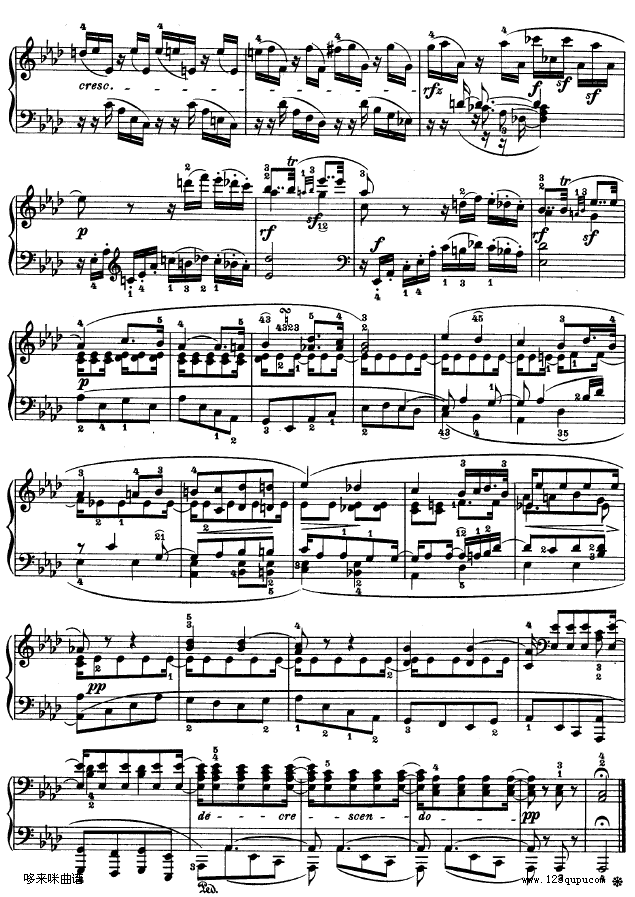CС{(dio)Q-Op.101-ؐ(V)10