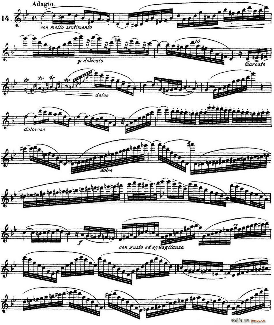 30׸߼LѾƷ75̖ NO 14(ѺV)1