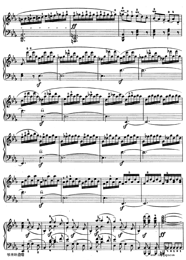 E{(dio)Q-Op.7-ؐ(V)9
