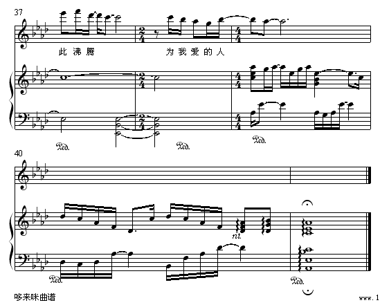 o(w)l-o(V)5