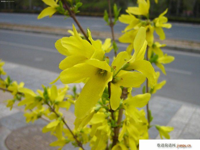  ӭ(ָV)5