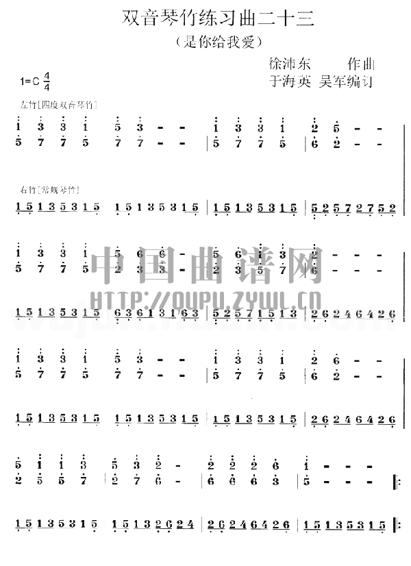 Pp(V)1