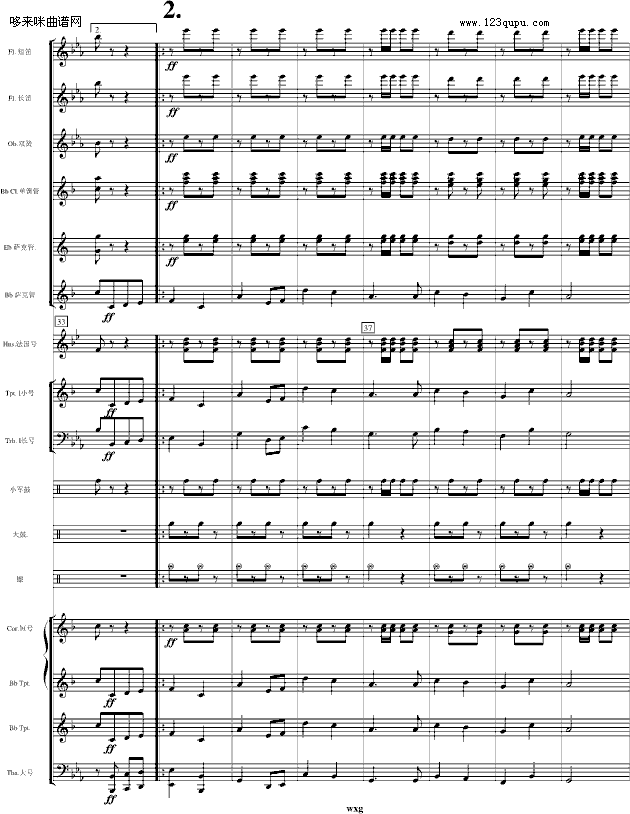 pM-V-(V)5