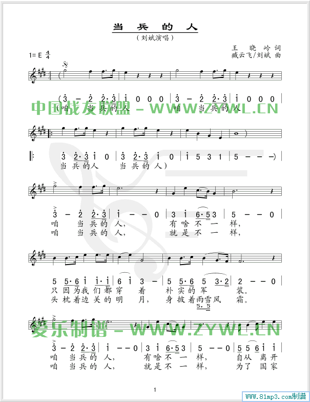(dng)(V)1