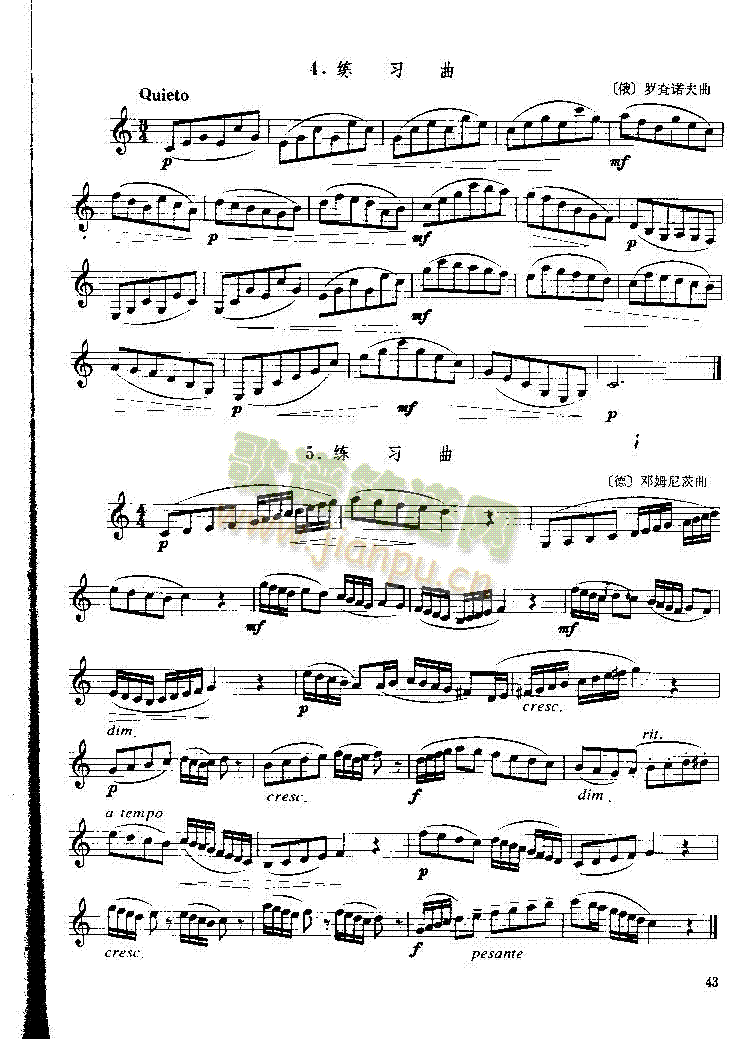 P043(V)1