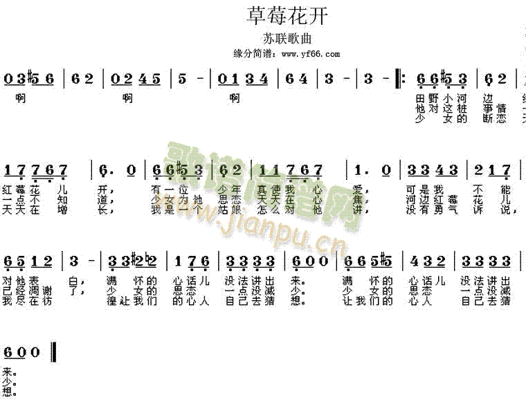 tݮ_(ָV)1