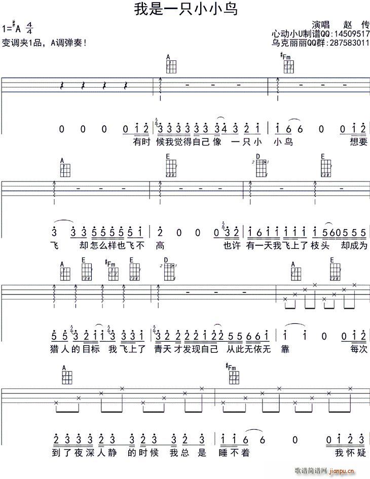 һֻССB ukulele(ʮּ)1