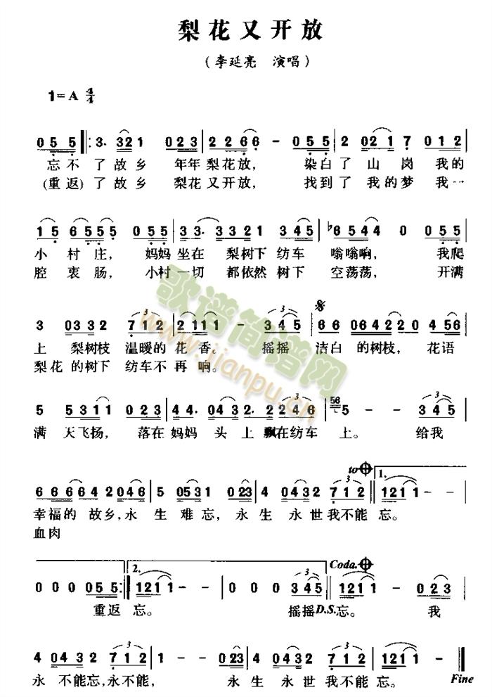 滨_(ָV)1