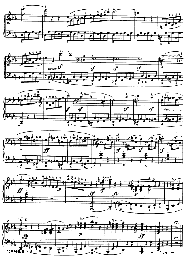 CС{(dio)Q-Op.101-ؐ(V)6