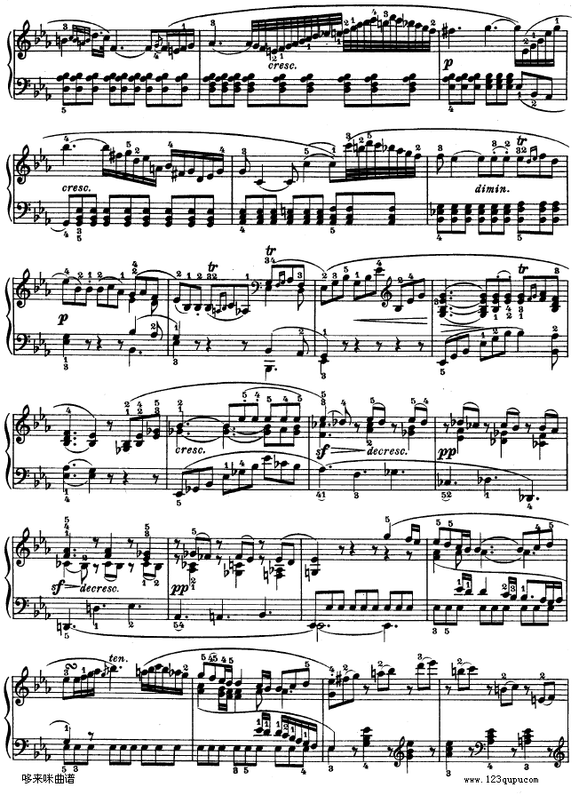ʮһQ-op.22-ؐ(V)13