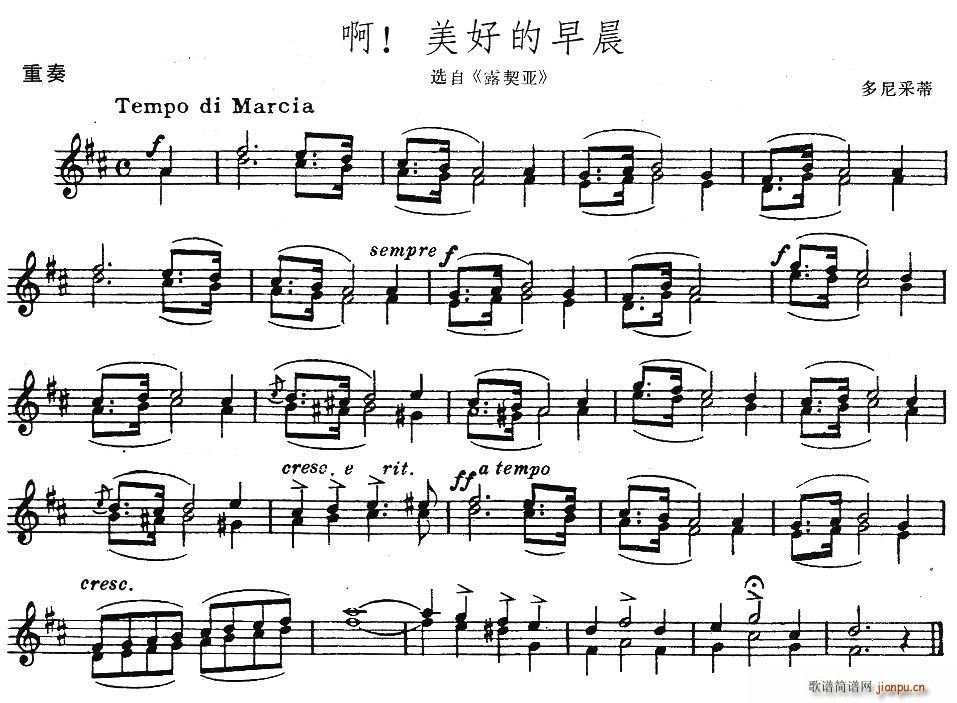 õ糿(V)1