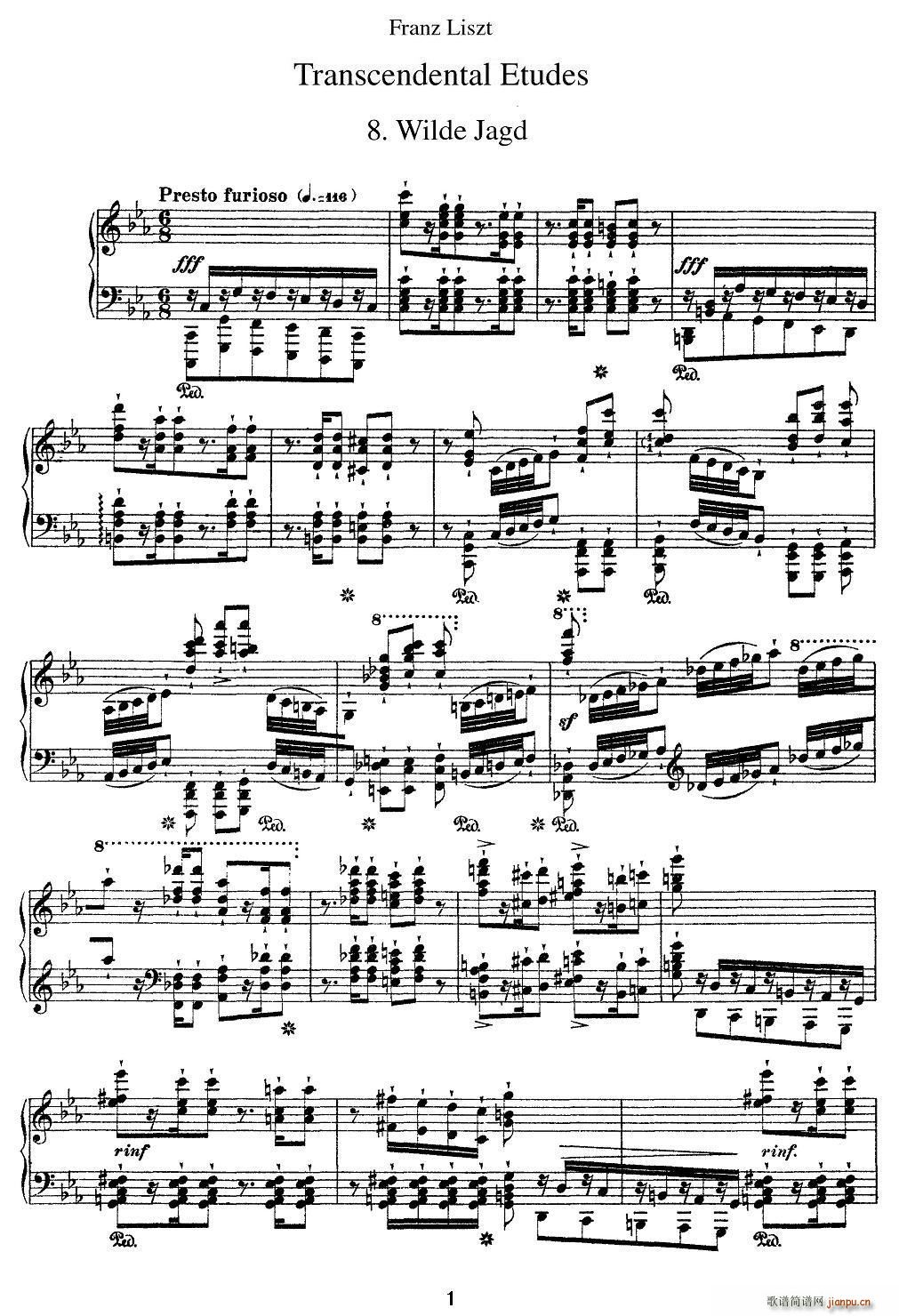 12׳(j)ɾ(x) Wilde Jagd C(V)1