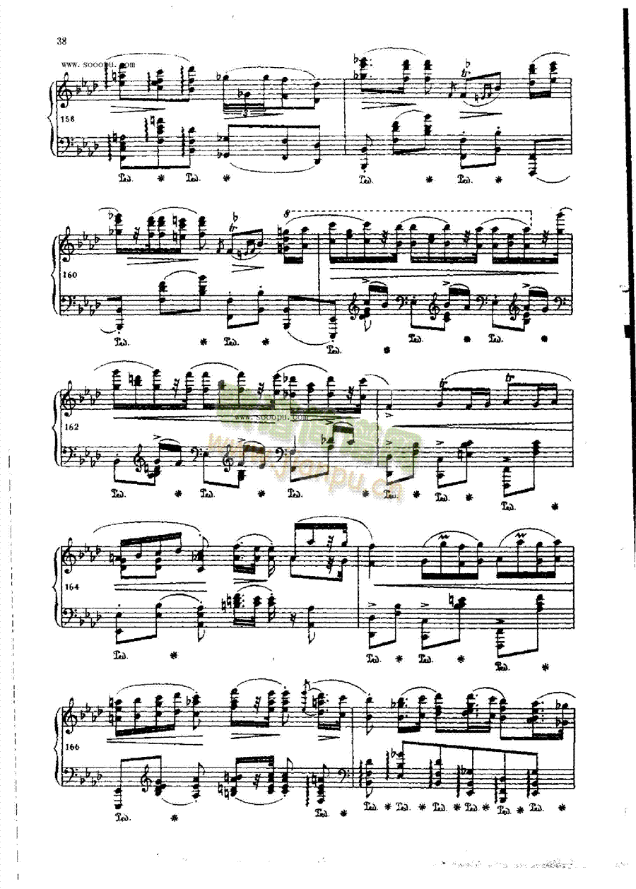ƝOP.53IP(V)13