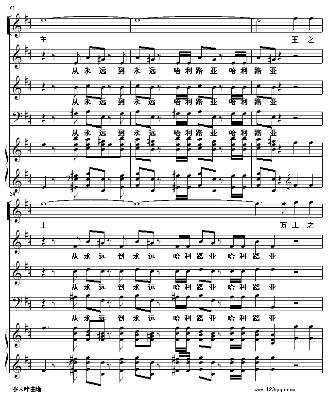 ·-(V)11