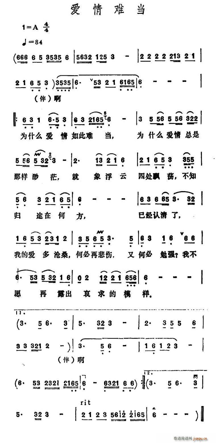 y(dng)(ָV)1