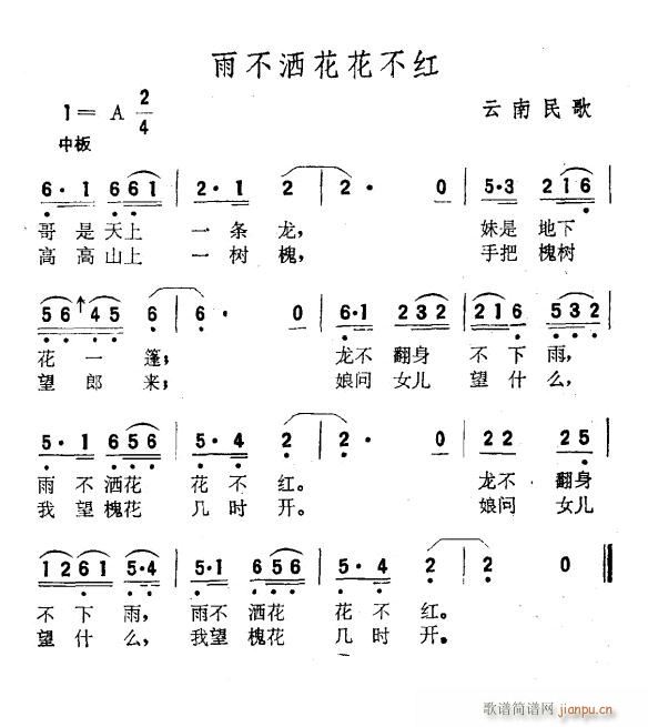 겻t V(ʮּ)6