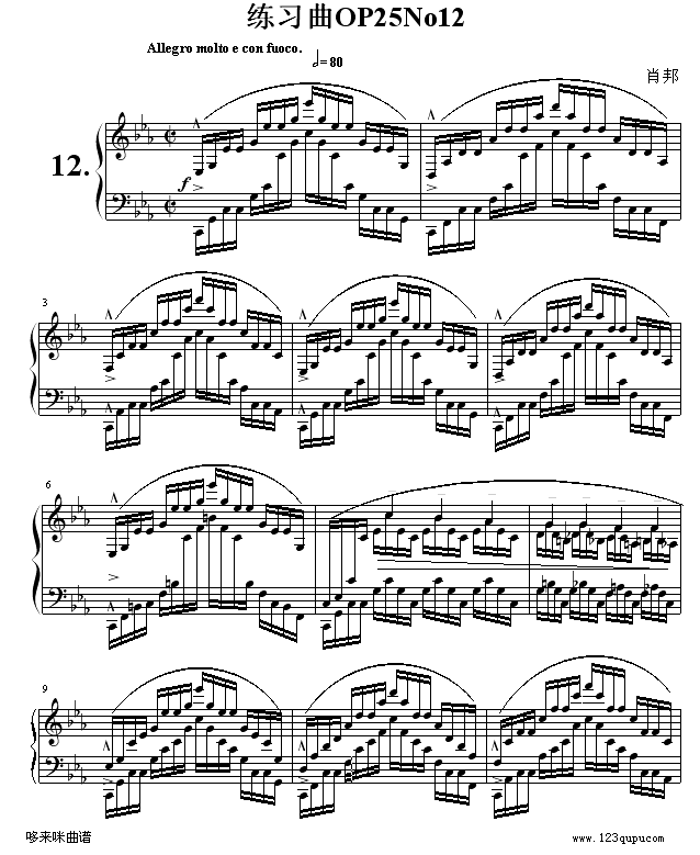 (x)OP25No12-Ф(V)1