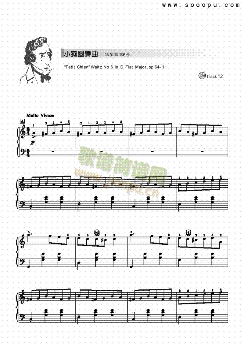 СA-װIP(V)1