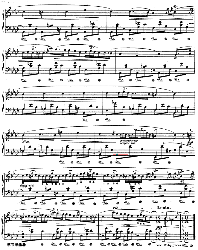 B{(dio)ҹƷ32̖-OP32NO.2-Ф(V)8