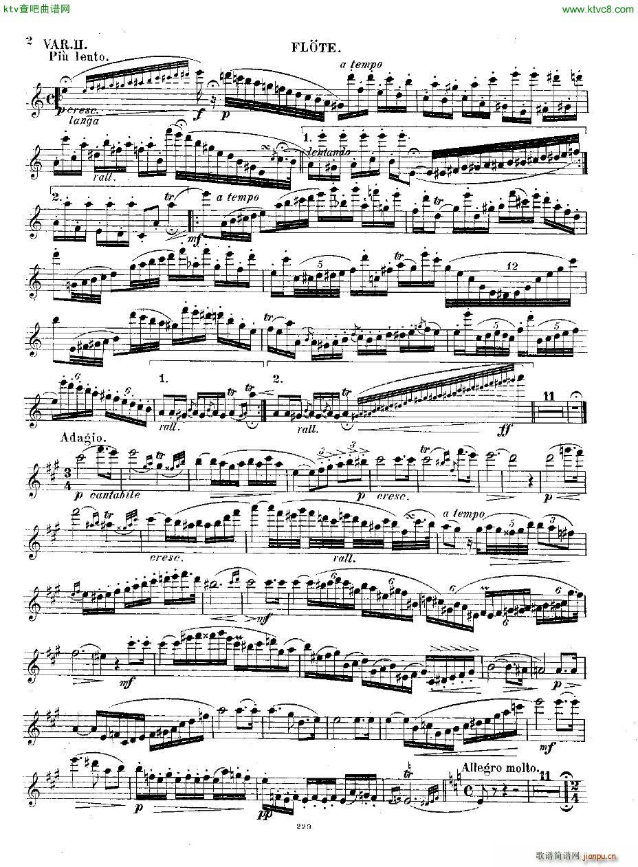 Andersen op 2 Ungarische Fantasie fl pno(V)17