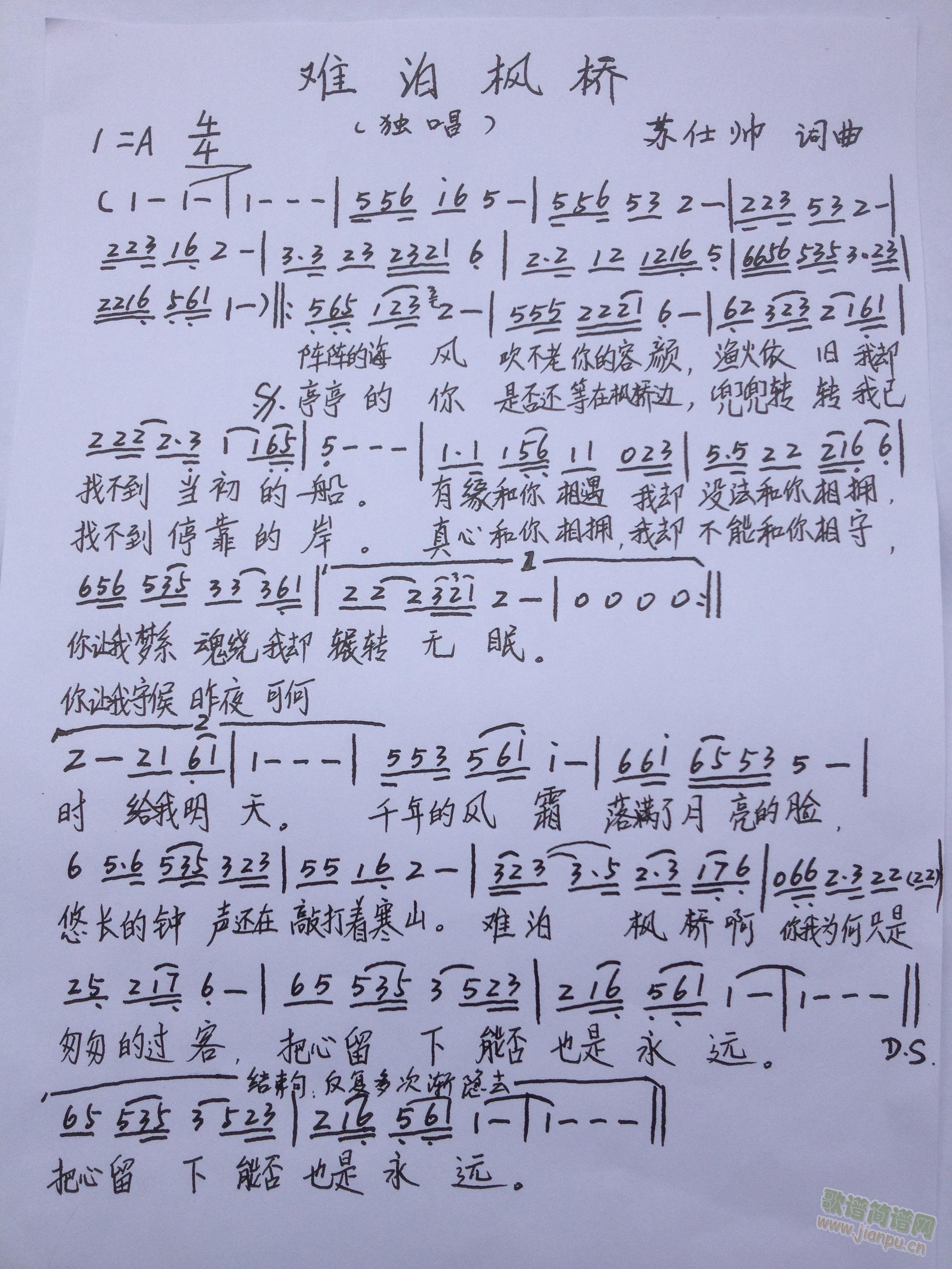y򣨪(d)(ָV)1